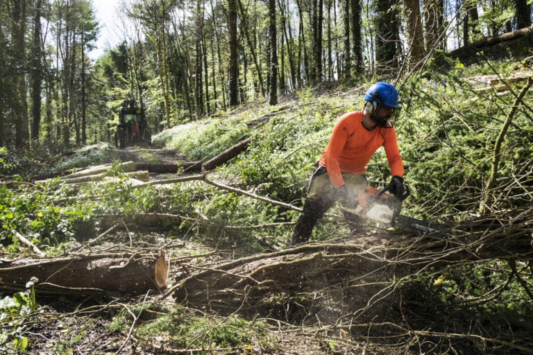 Man wearing bright orange top clearing part of forest.